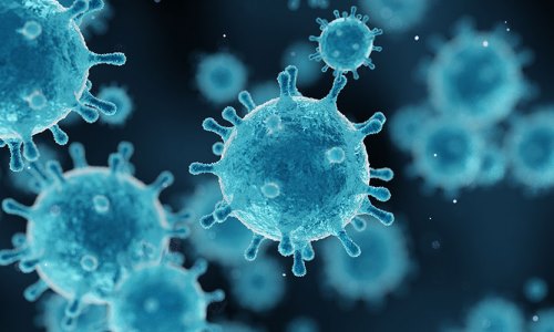 patogeni mikroorganizmi virusi